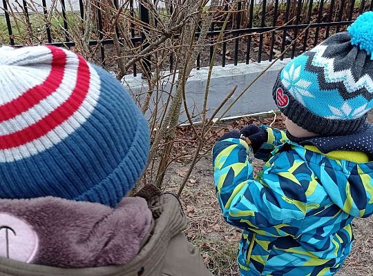 Gr. II Dokarmiamy ptaki