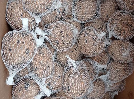 Gr. I Dokarmiamy ptaki