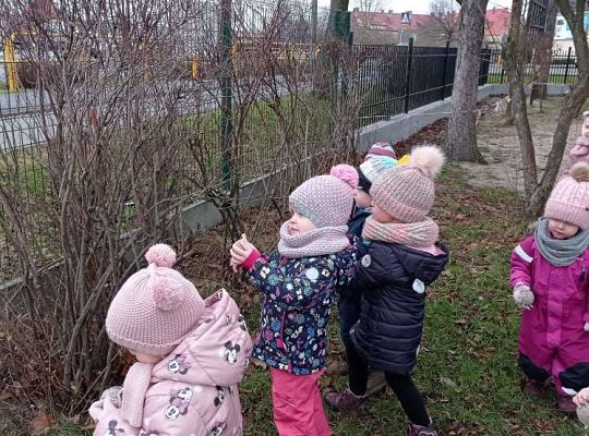 Gr. I Dokarmiamy ptaki