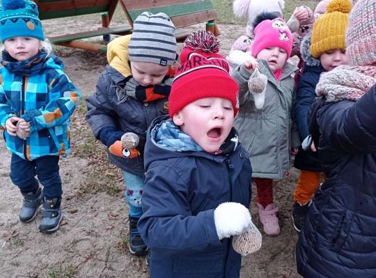 Gr. I Dokarmiamy ptaki