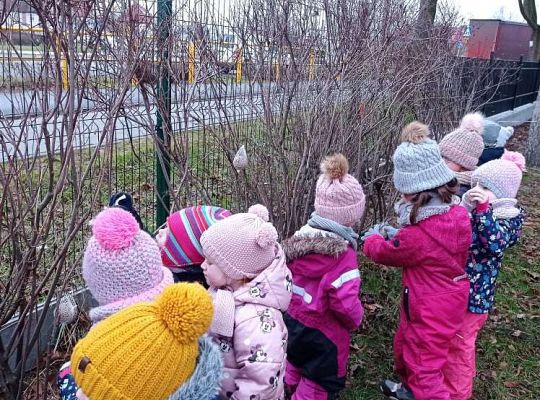 Gr. I Dokarmiamy ptaki