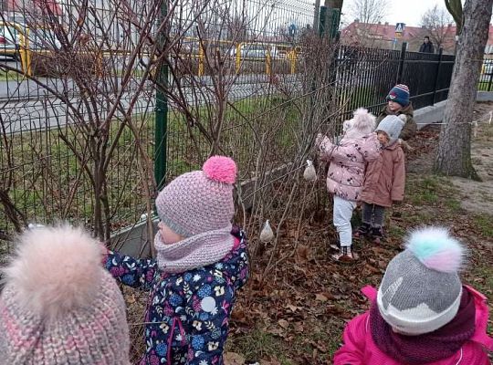 Gr. I Dokarmiamy ptaki