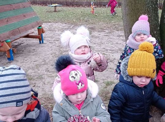 Gr. I Dokarmiamy ptaki