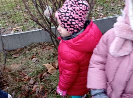 Gr. I Dokarmiamy ptaki