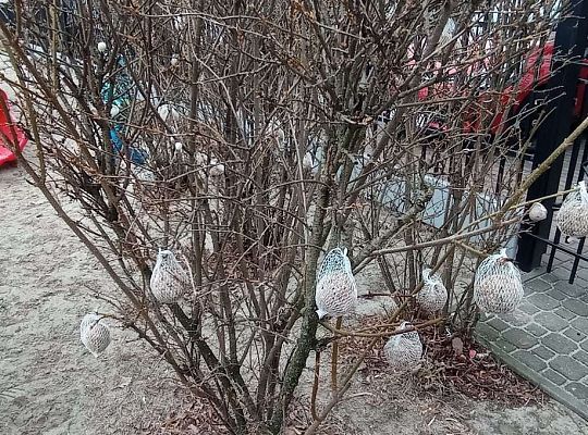 Gr. I Dokarmiamy ptaki