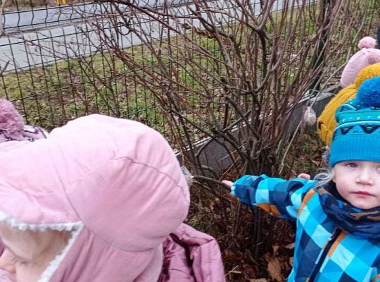 Gr. I Dokarmiamy ptaki