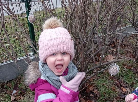 Gr. I Dokarmiamy ptaki