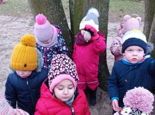 Gr. I Dokarmiamy ptaki