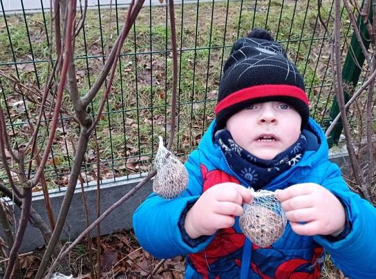 Gr. I Dokarmiamy ptaki