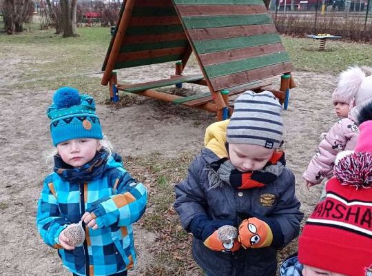 Gr. I Dokarmiamy ptaki