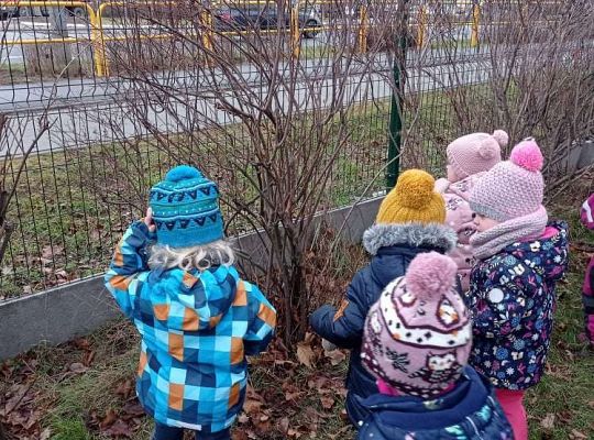 Gr. I Dokarmiamy ptaki