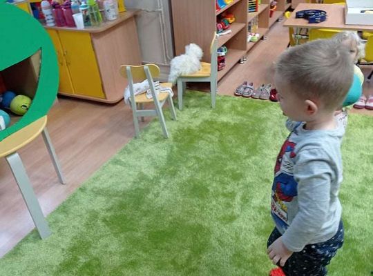 Gr. I Tak ćwiczą żabki