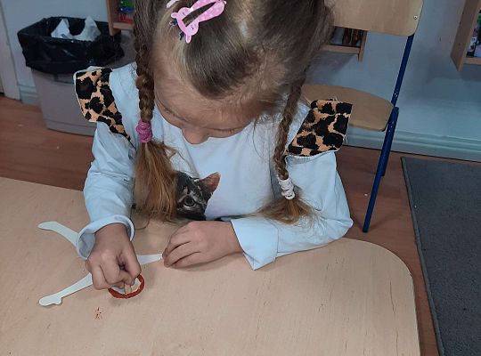 Gr.III "Przyjaciele Zippiego"- Przyjaciele