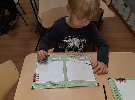 Gr.III "Przyjaciele Zippiego"- Przyjaciele