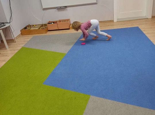 Gr. IV - Ćwiczenia gimnastyczne