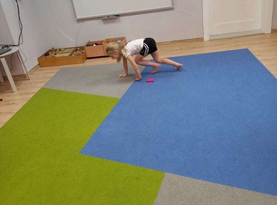 Gr. IV - Ćwiczenia gimnastyczne