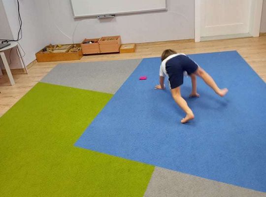 Gr. IV - Ćwiczenia gimnastyczne