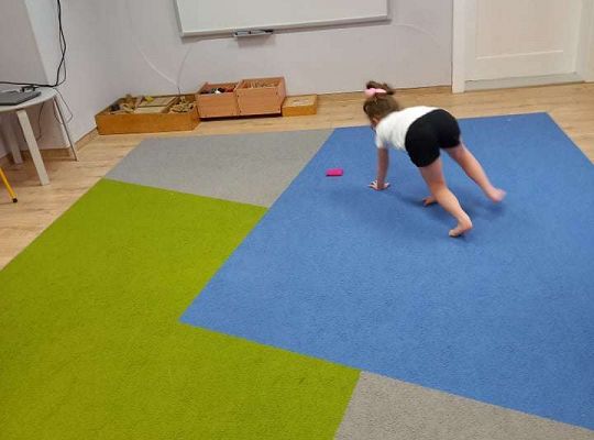 Gr. IV - Ćwiczenia gimnastyczne