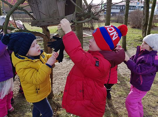 Gr. III Dokarmiamy ptaki