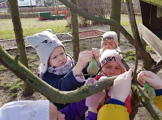 Gr. III Dokarmiamy ptaki