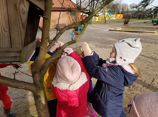 Gr. III Dokarmiamy ptaki