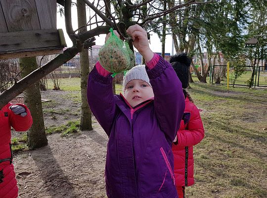 Gr. III Dokarmiamy ptaki