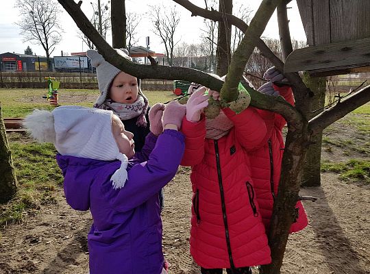 Gr. III Dokarmiamy ptaki