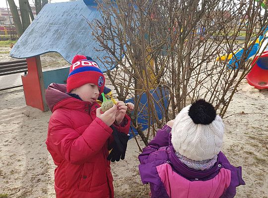 Gr. III Dokarmiamy ptaki