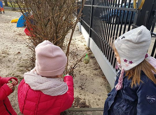 Gr. III Dokarmiamy ptaki