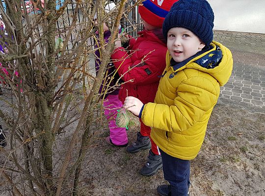 Gr. III Dokarmiamy ptaki