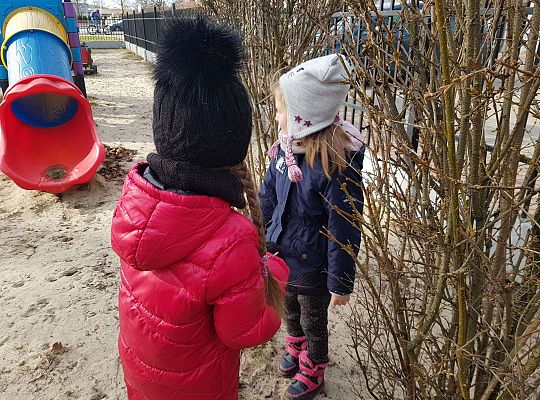 Gr. III Dokarmiamy ptaki