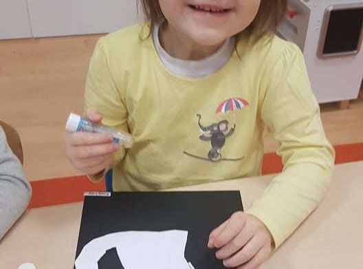 Gr. II "Dzień Kota"