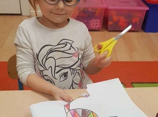 Gr. II "Dzień Kota"