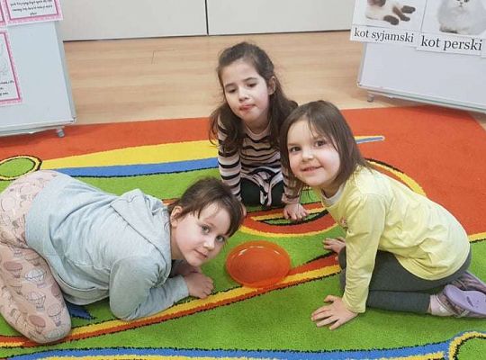 Gr. II "Dzień Kota"