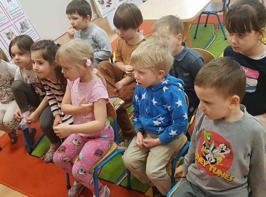 Gr. II "Dzień Kota"