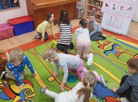 Gr. II "Dzień Kota"