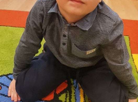 Gr. II "Dzień Kota"