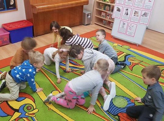 Gr. II "Dzień Kota"