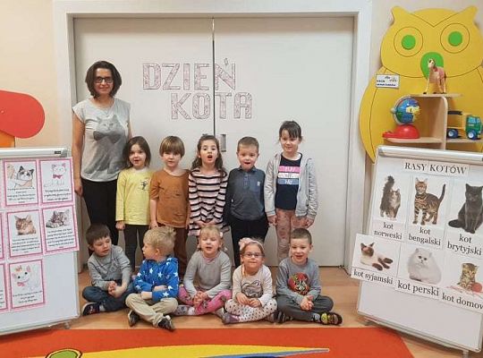 Gr. II "Dzień Kota"