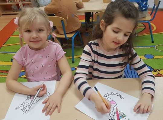 Gr. II "Dzień Kota"