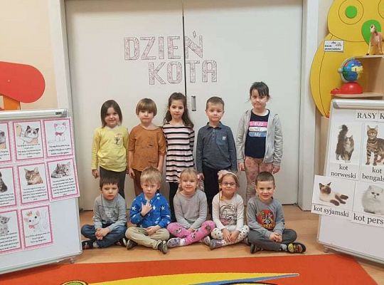 Gr. II "Dzień Kota"