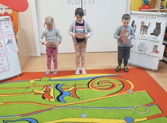 Gr. II "Dzień Kota"