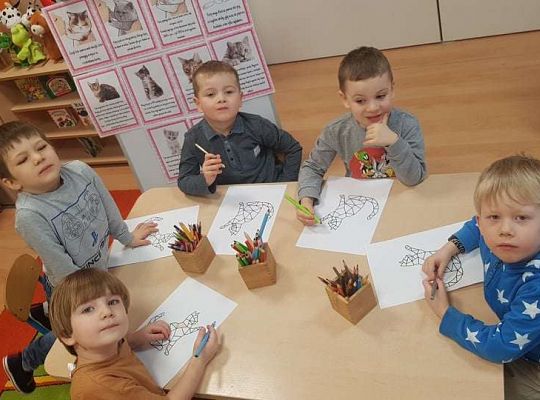 Gr. II "Dzień Kota"