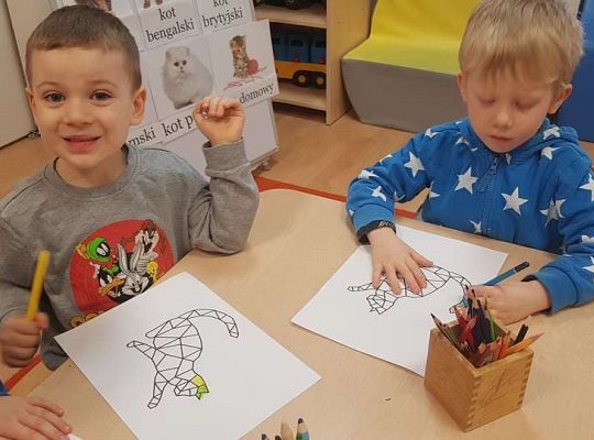 Gr. II "Dzień Kota"