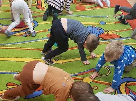 Gr. II "Dzień Kota"