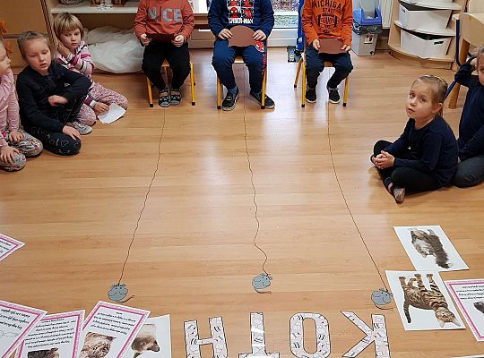 Gr. III i IV 'Dzień Kota"