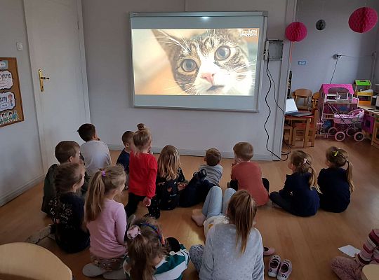 Gr. III i IV 'Dzień Kota"