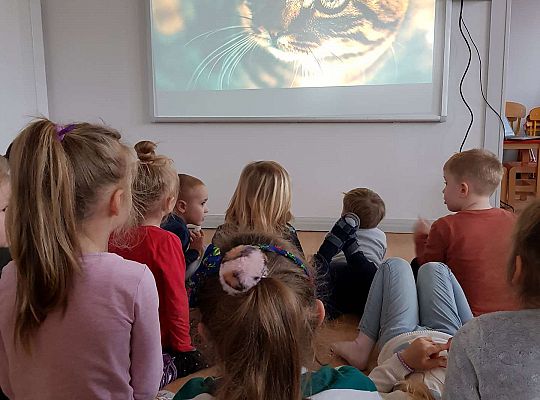 Gr. III i IV 'Dzień Kota"