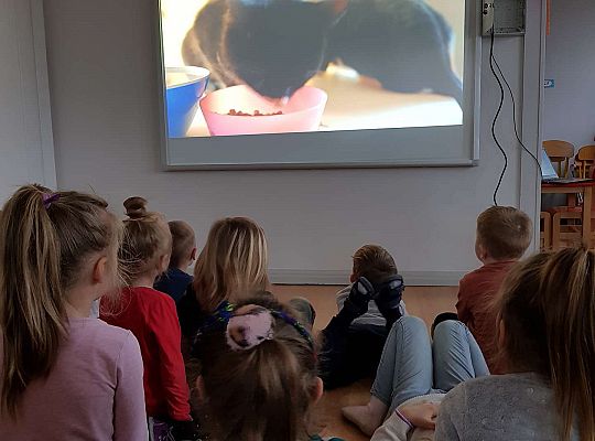 Gr. III i IV 'Dzień Kota"