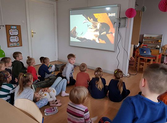 Gr. III i IV 'Dzień Kota"